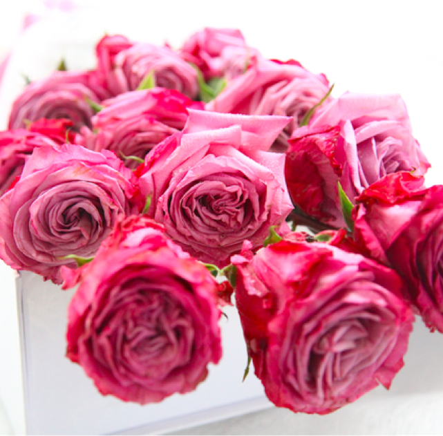 枪炮玫瑰-紫雾(12支装)