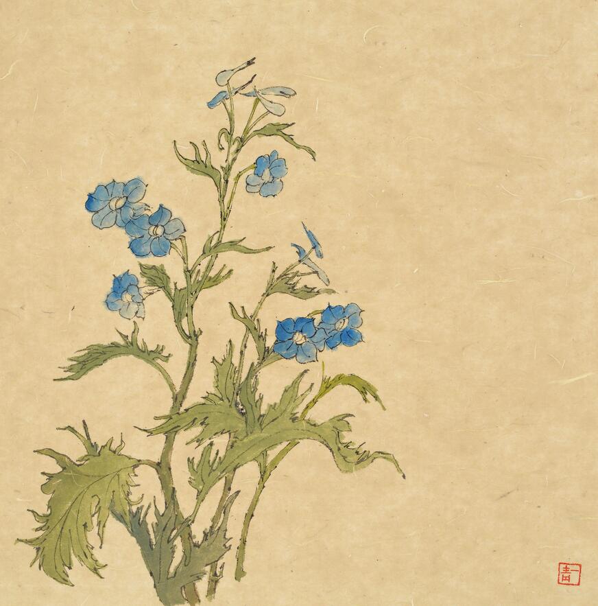 《翠雀花》 一青 32x32cm 纸本水墨