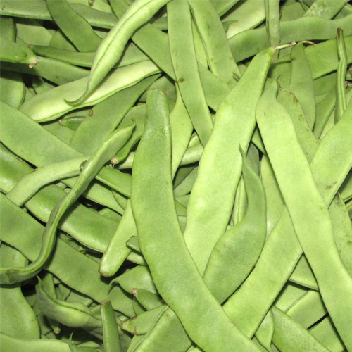 扁豆角