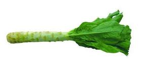 203莴笋1颗约750克