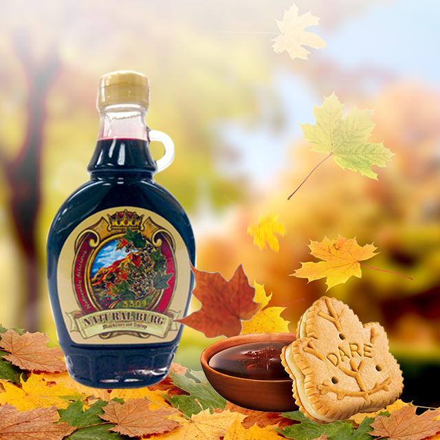 黑加仑枫树糖浆330g/瓶 滋补降燥 100%加拿大原瓶进口