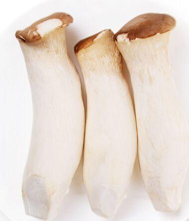 100杏鲍菇约500克 商品图0