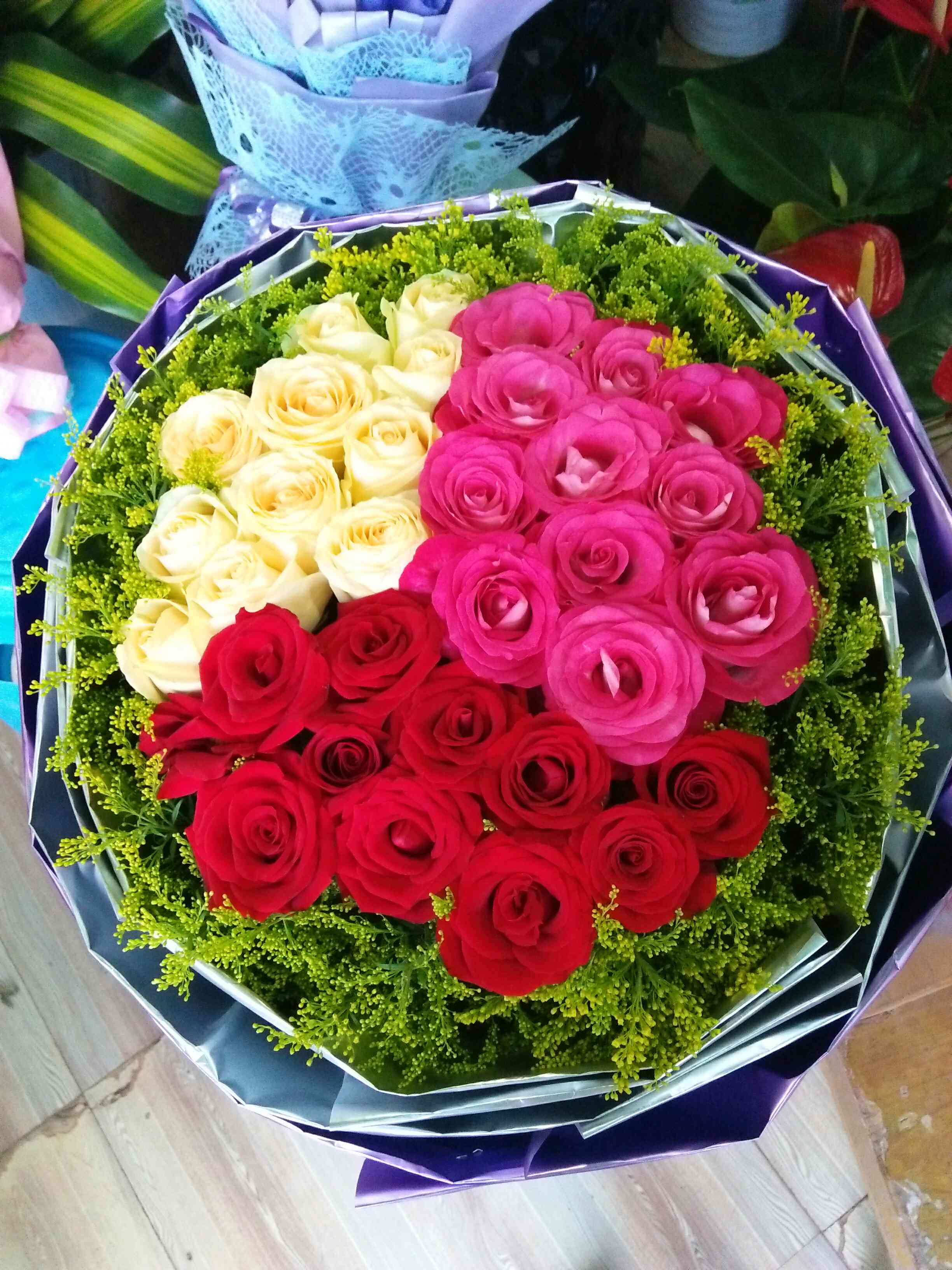 (33支三色玫瑰)兴义市区内免费送货上门