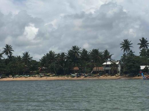 幽兰－普通商品 商品图0