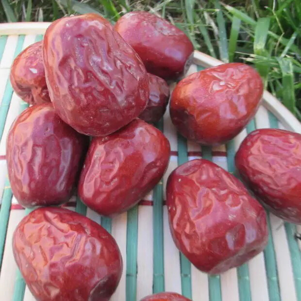 新疆二级和田大枣500g