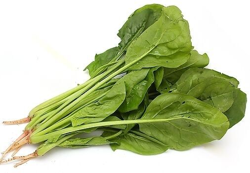 301菠菜 500克