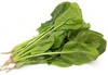 301菠菜 500克 商品缩略图0