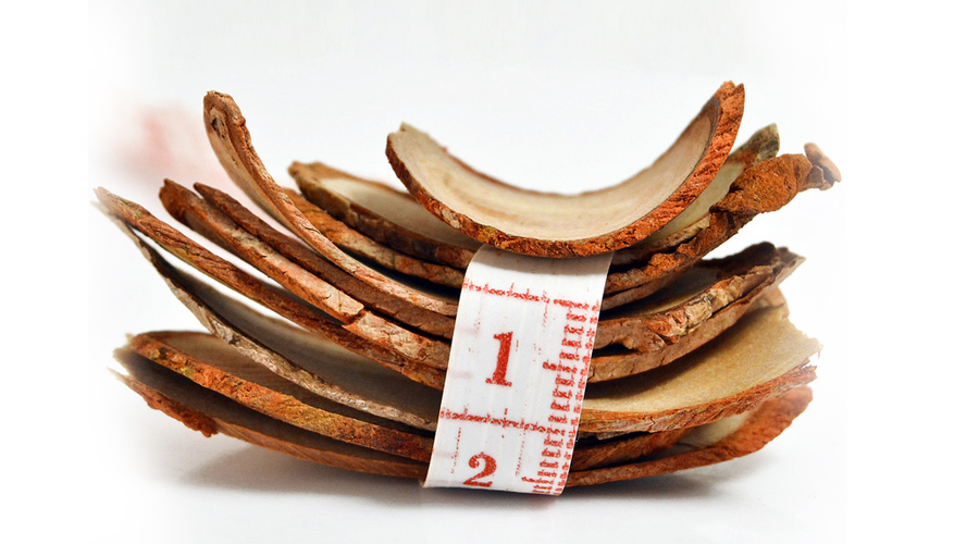 红东革阿里 120g 正宗马来西亚东革阿里