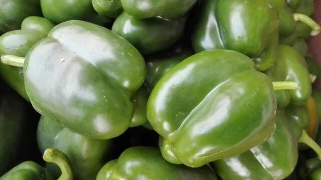 大泡椒(普通)3.8元/斤 2斤/袋