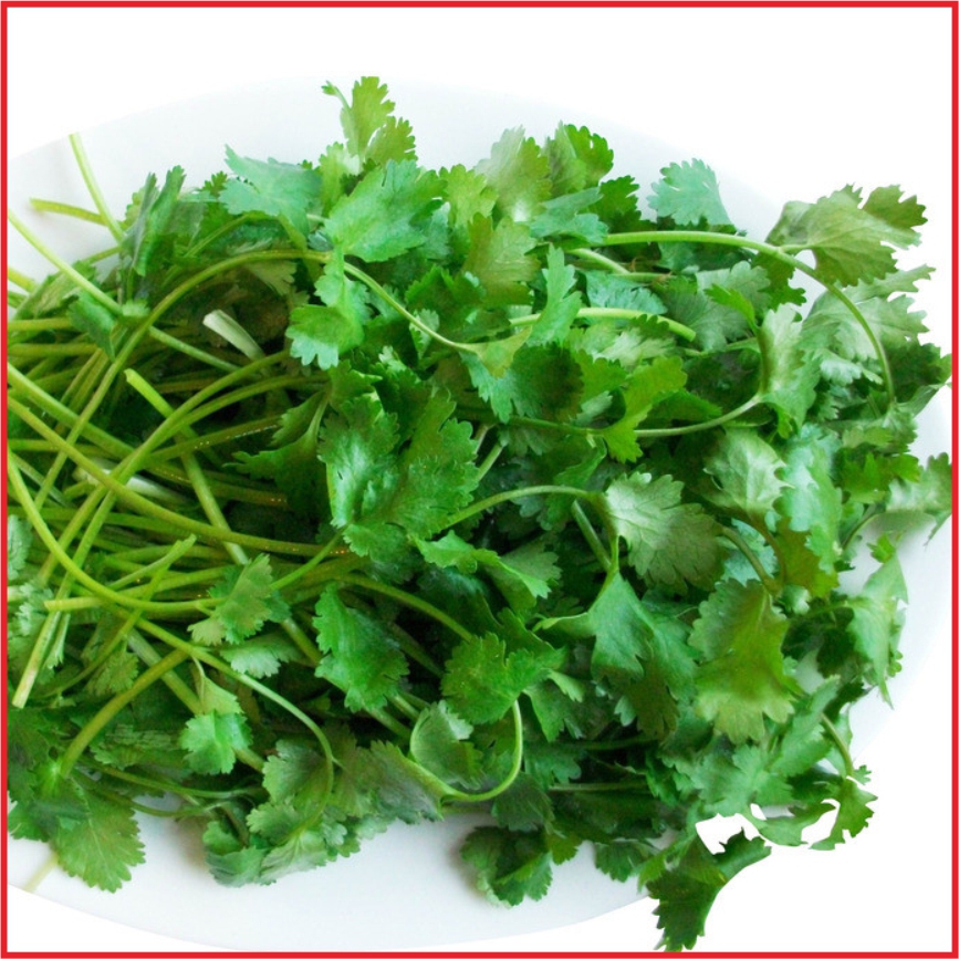 香菜