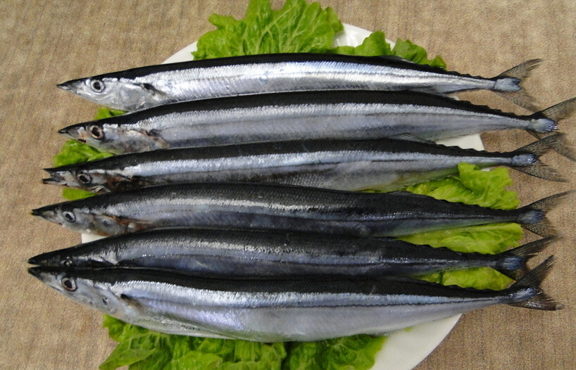 秋刀鱼(冰鲜)