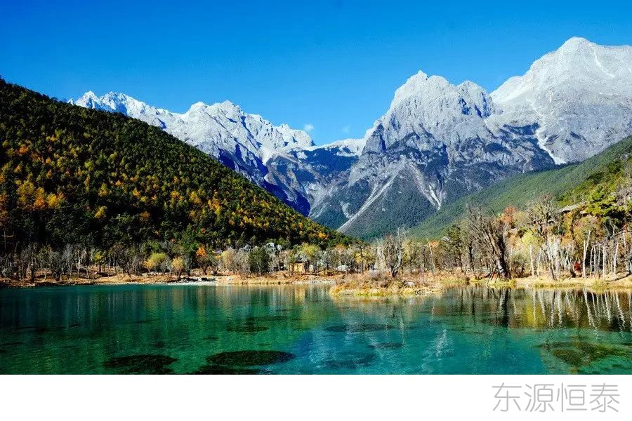 97-工商管理-荣玉霞-极玛咖—紫啤