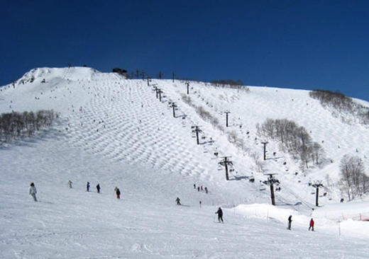 劲爆价-日本长野白马5日滑雪之旅 2016年1月7日 商品图3