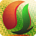 金种子商城蔬菜番茄辣椒玉米种子200509