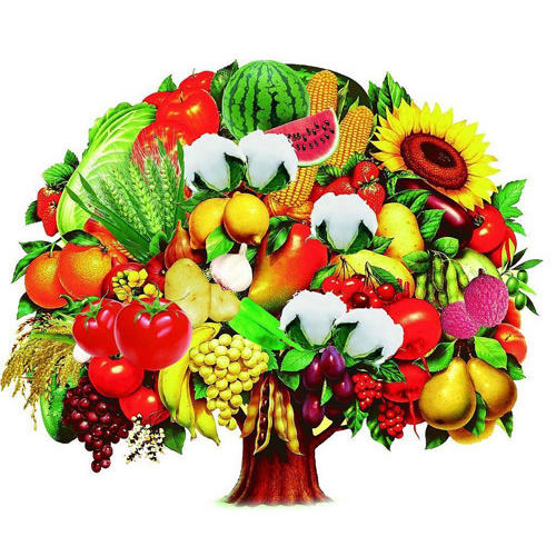 果美美超市200508