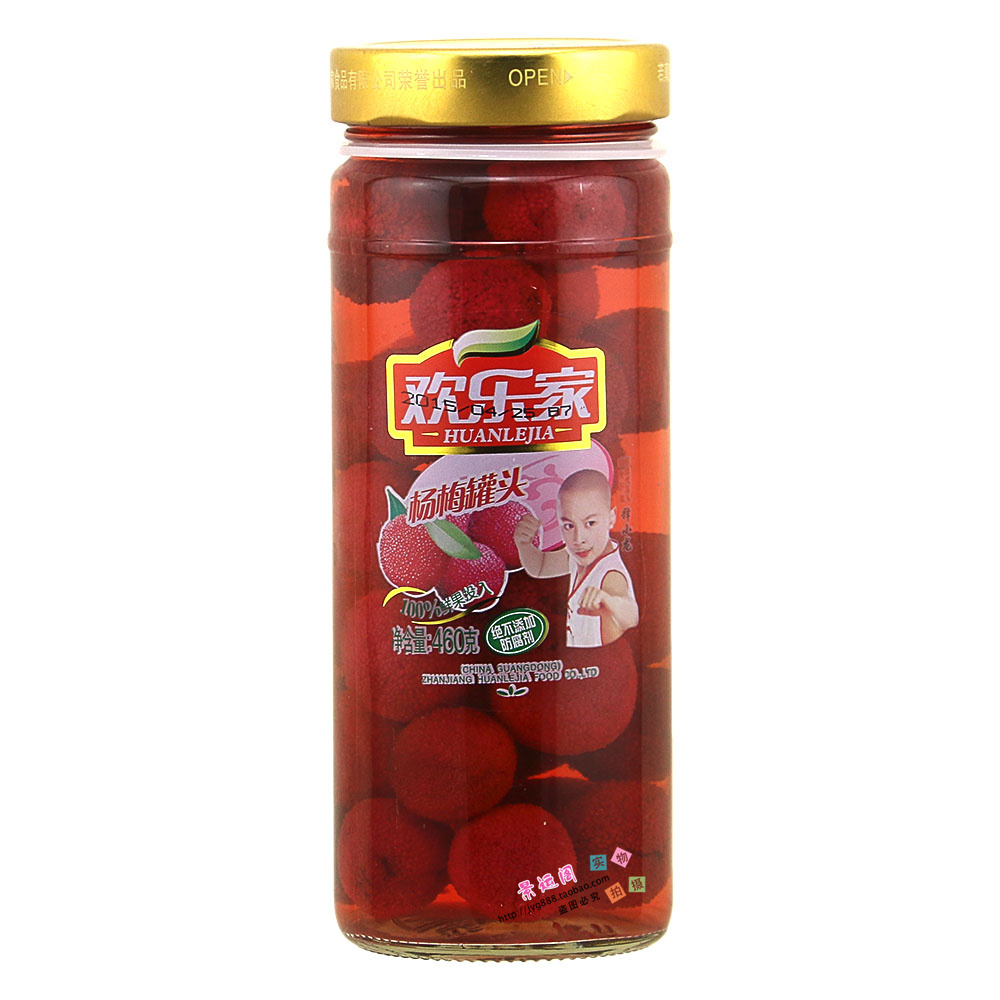 欢乐家水果罐头 杨梅罐头 460克