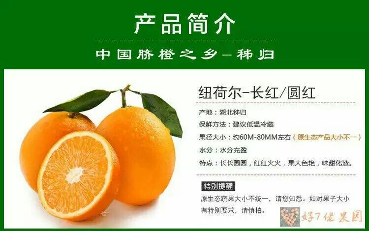 秭归脐橙-纽荷尔