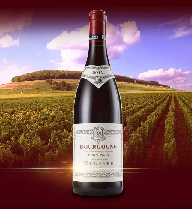 法国雷格特黑皮诺红葡萄酒750ml 浅尝勃艮第