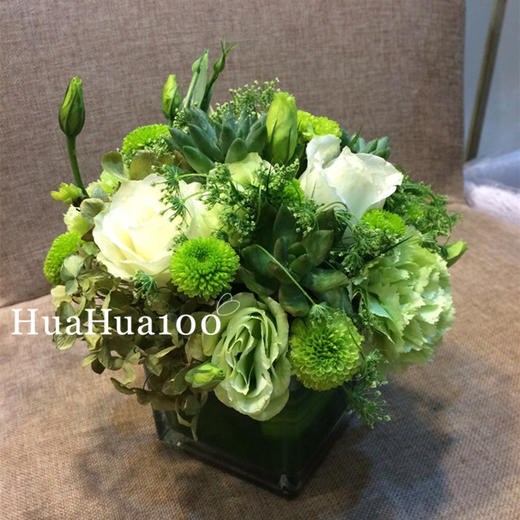 青青子衿丨白玫瑰多肉绿康小瓶花（含花瓶） 商品图3