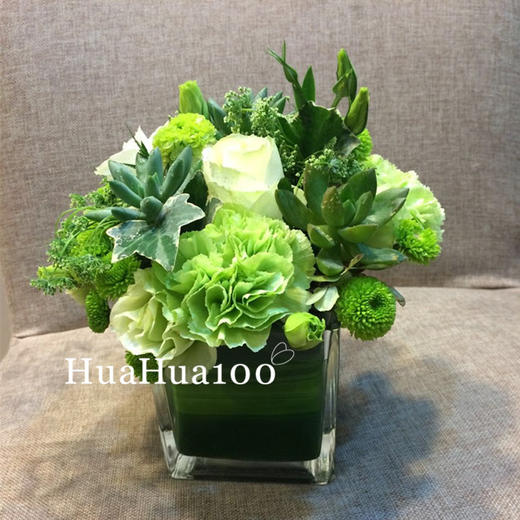 青青子衿丨白玫瑰多肉绿康小瓶花（含花瓶） 商品图1