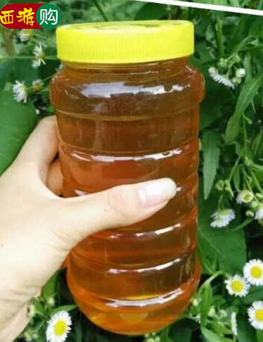 零添零污染纯天然农家自养土蜂蜜强身健体木子花蜜老少皆宜野生蜜