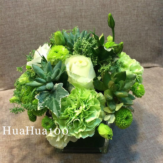 青青子衿丨白玫瑰多肉绿康小瓶花（含花瓶） 商品图6