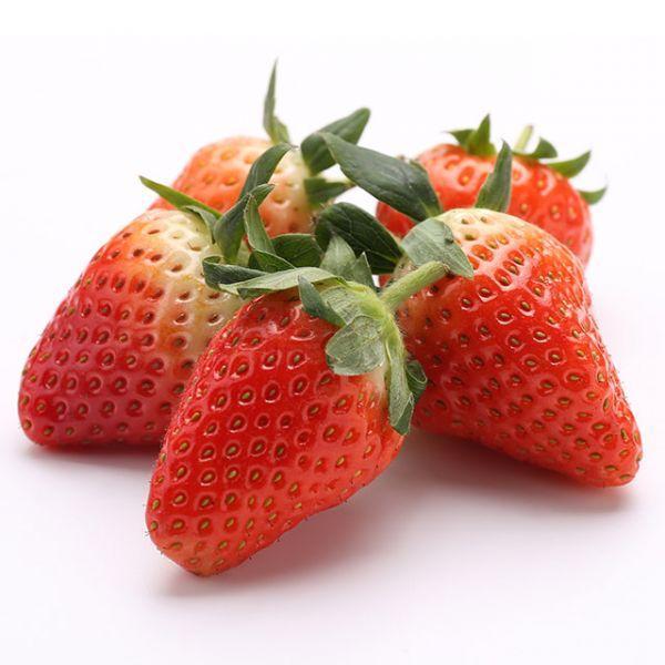 山东奶油草莓15个/盒(礼盒装)