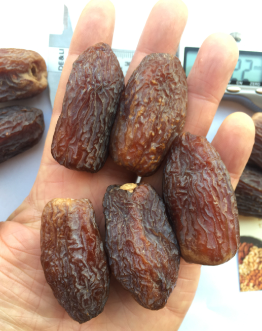 顶级沙特帝王椰枣