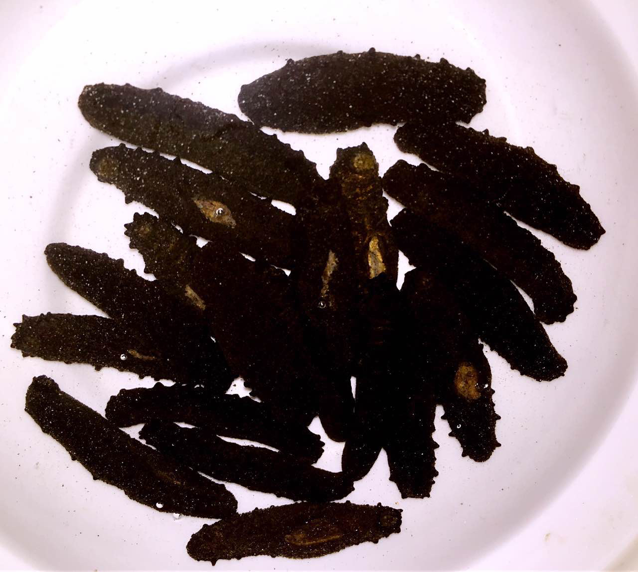 澳洲新西兰纯天然野生小黑刺参60-80头 500克