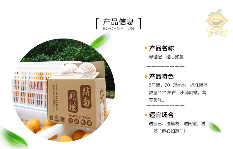 寻橙记-橙心如意5斤