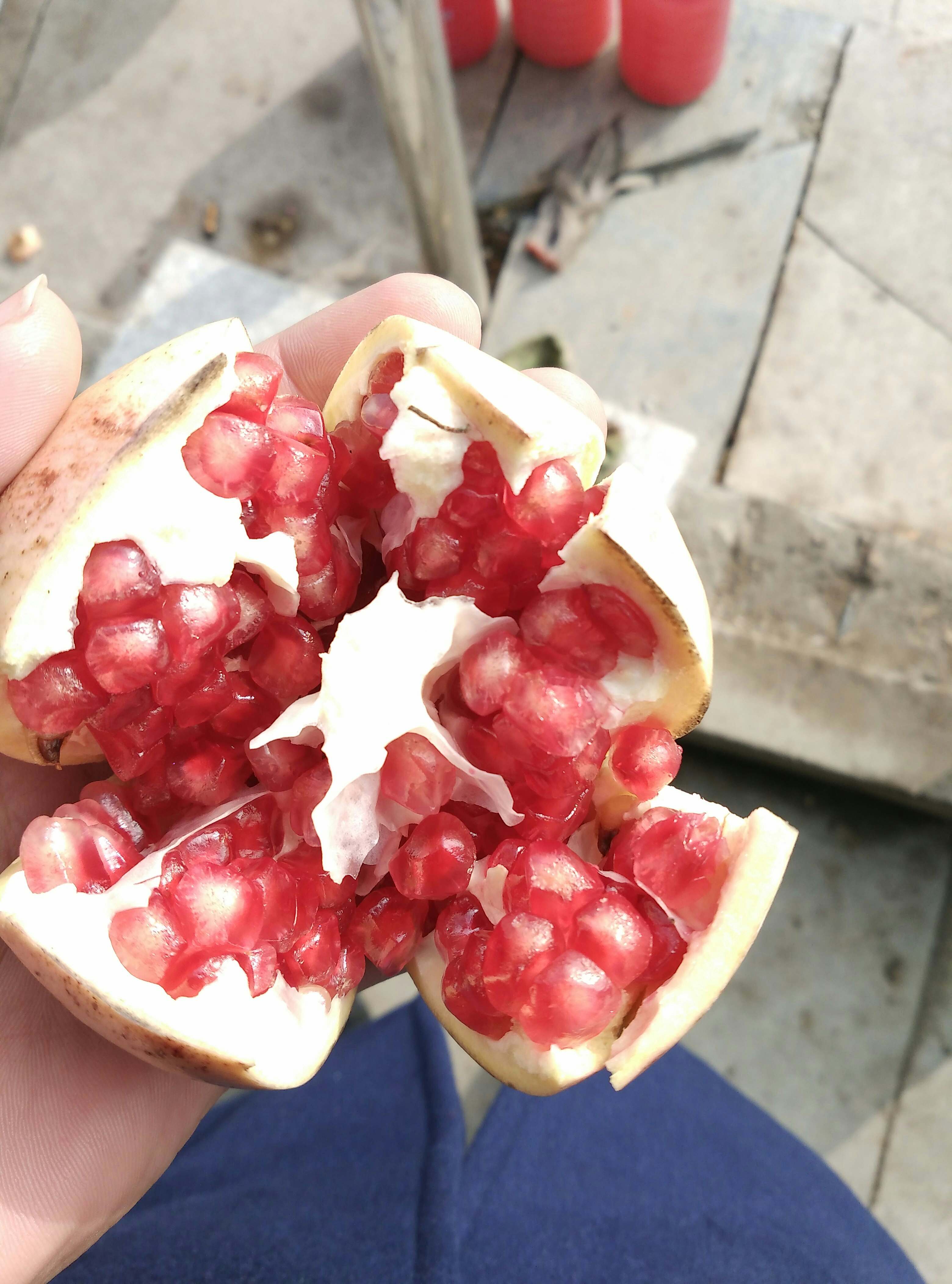 正宗怀远红玛瑙石榴