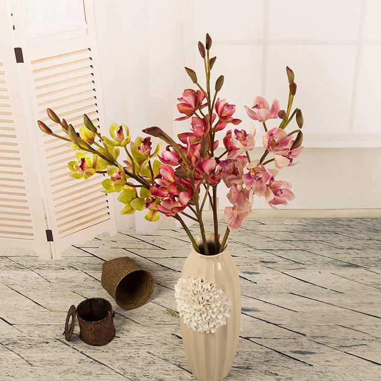 兰花 千代兰 红色