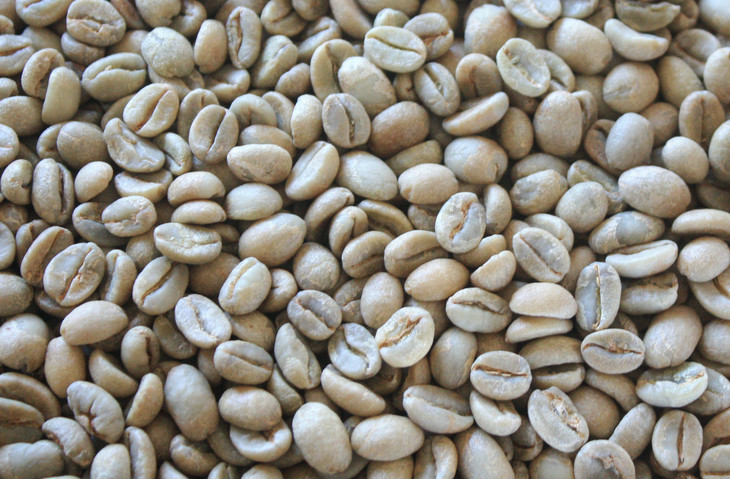 埃赛尔萨咖啡豆图片