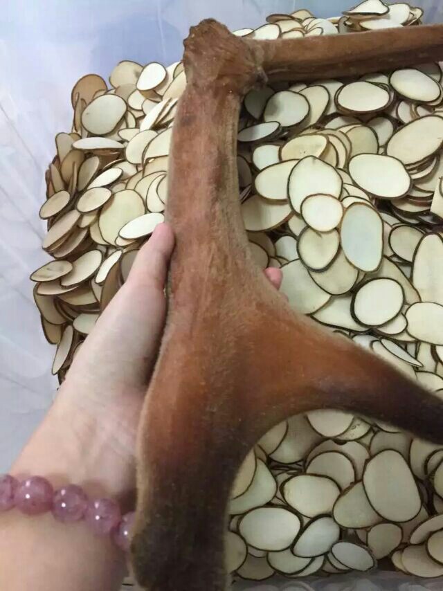 鹿茸三花,二花,一花