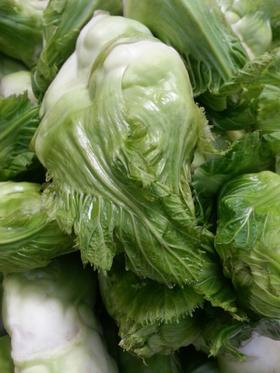 儿菜芽(掰开的儿菜芽)