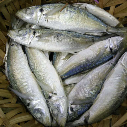 潮汕鱼饭(当日做当日寄)每斗四五斤，邮费自付