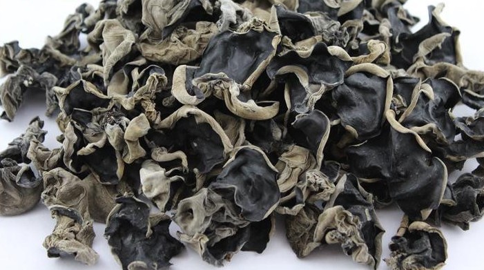 人工培植黑木耳