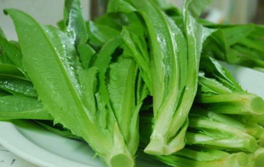 301 油麦菜 500克/份 商品图0