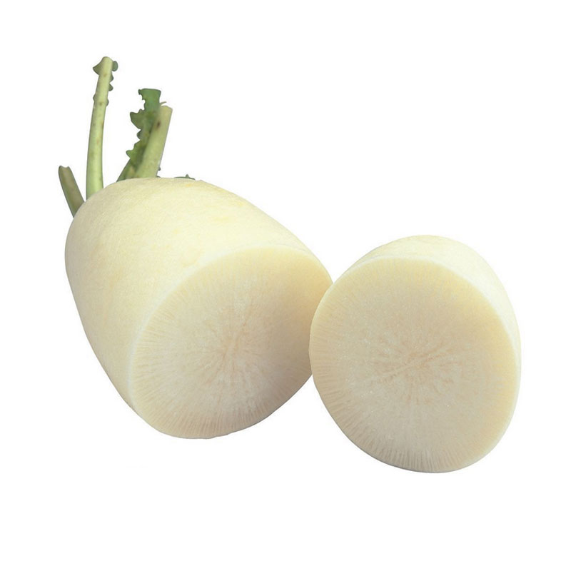 白萝卜