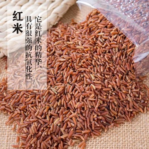 （永久下架）熊猫有礼丨朱鹮之乡有机米（黑米1KG+红米1KG） 商品图2