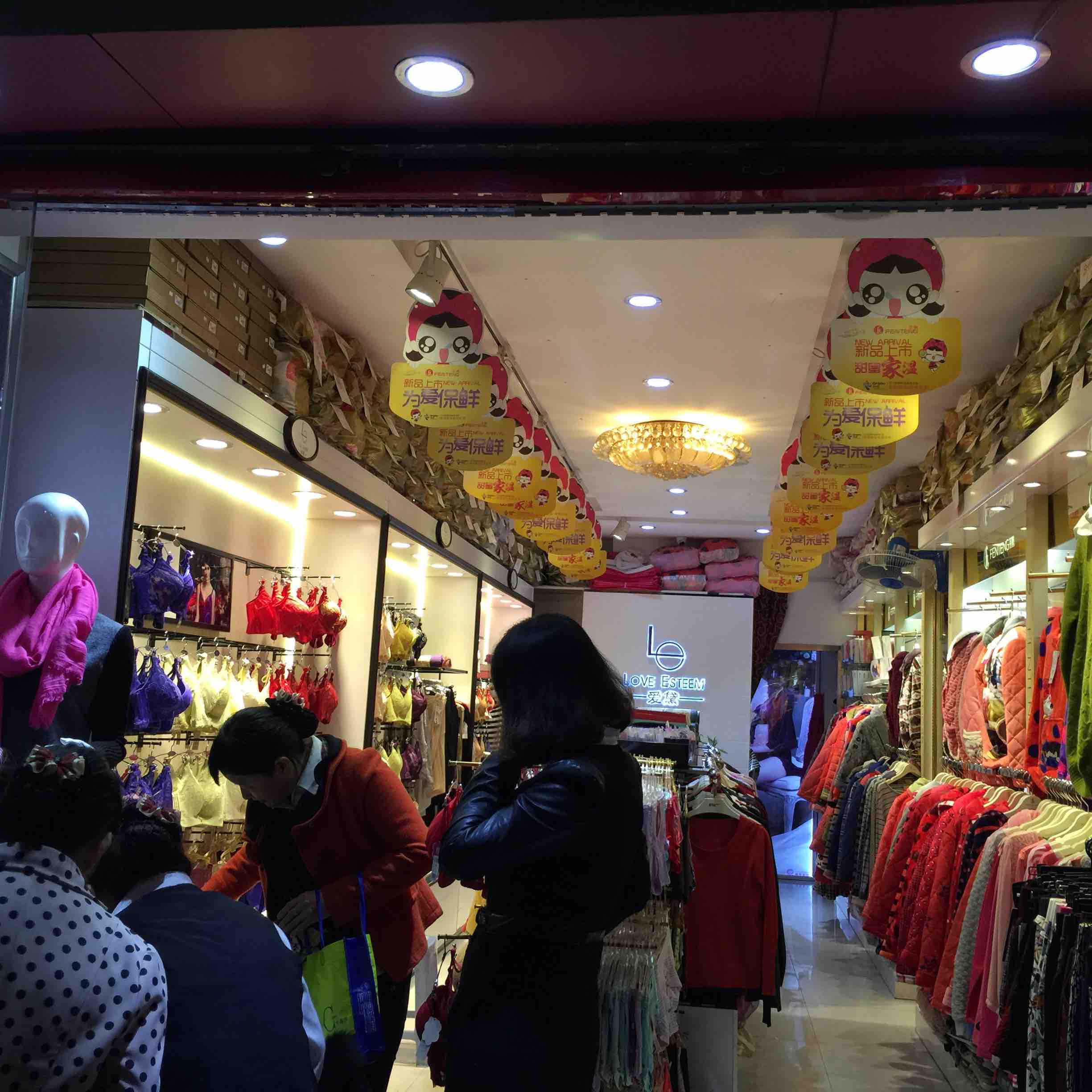 黛梦娜9528时尚羽绒衣(白鸭绒90%)原价528元季末特惠7折出清