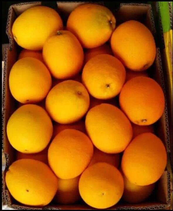 进口南非脐橙,甜橙新鲜上市,脐橙原产地南非,规