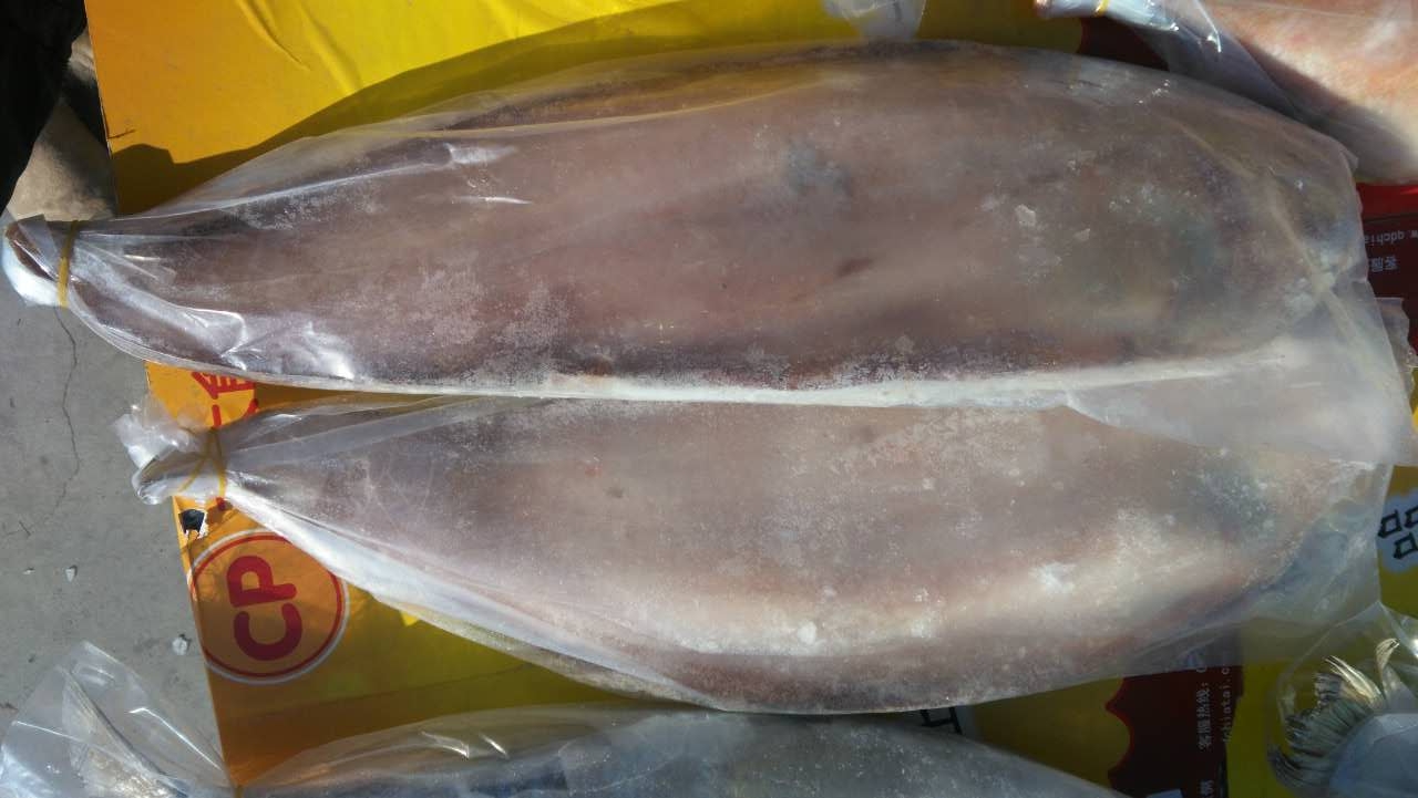 大舌头鱼一条1.0-1.5斤,25元一斤