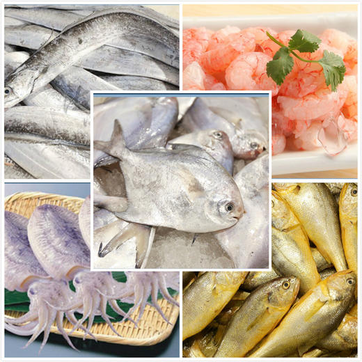 （永久下架）象山海鲜大礼包 商品图0