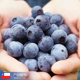 抗氧化明星 原装进口智利蓝莓 4盒*125g装