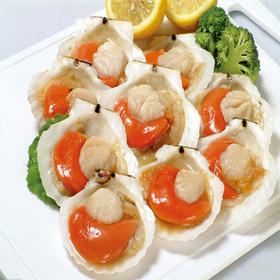 大连獐子岛 虾夷扇贝 800g 包邮