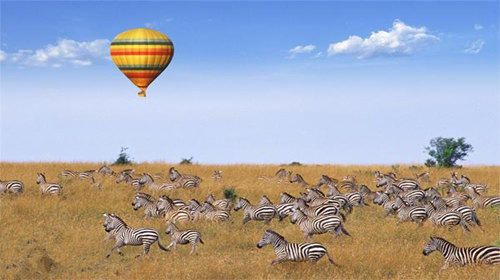 坦桑尼亚给希希家的特别定制B 商品图9