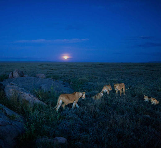 坦桑尼亚给希希家的特别定制B 商品图5