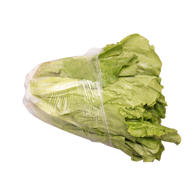 高山·生菜 400克