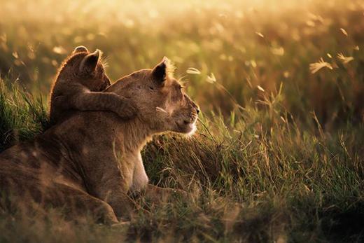 坦桑尼亚给希希家的特别定制B 商品图8